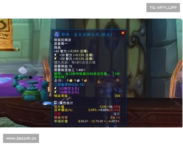 魔兽世界奶骑：毕业装备快速攻略